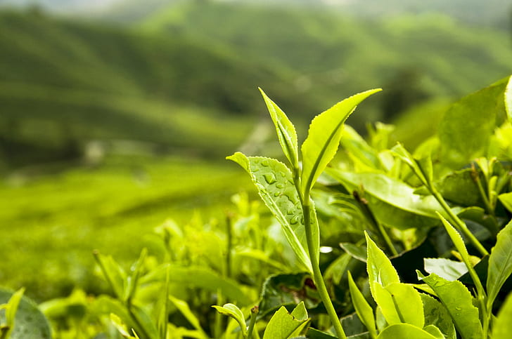 Các cách hạ sốt cho trẻ mọc răng mang lại hiệu quả cao - Ảnh 3. Các cách hạ sốt cho trẻ mọc răng mang lại hiệu quả cao - Ảnh 3.