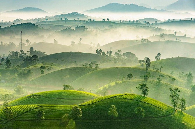 Tổng Hợp Các Địa Điểm Du Lịch Phú Thọ Nổi Bật