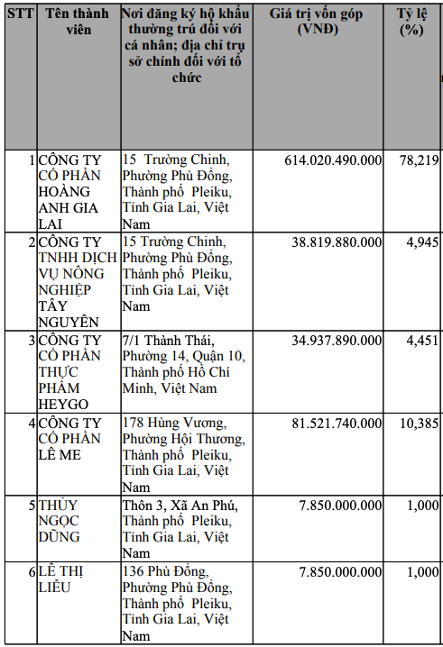 64 triệu cổ phiếu HAG được thế chấp cho Hưng Thắng Lợi Gia Lai phát hành trái phiếu - Ảnh 1.