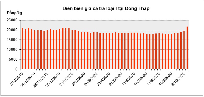 Đà phục hồi thị trường cá tra chỉ là tạm thời? - Ảnh 1.