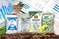 Kết quả kinh doanh ngành phân bón phân hoá mạnh trong quí III