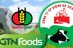 Fiin Group: Dabaco khó giữ phong độ, GTNFoods tiếp tục đà tăng nhờ Mộc Châu Milk trong năm 2021