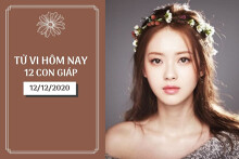 Tử vi hàng ngày hôm nay 12/12 của 12 con giáp: Mùi lộc vận may mắn, Thân vui vẻ bên gia đình