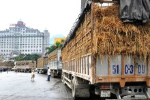 Bộ Công Thương: Các doanh nghiệp xuất khẩu theo dõi sát tình hình thông quan tại các cửa khẩu biên giới Việt – Trung