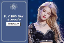 Tử vi hàng ngày hôm nay 13/12 của 12 con giáp: Dậu tình duyên êm đẹp, Tuất có quí nhân phù trợ