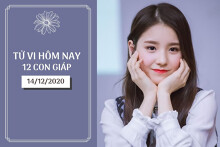 Tử vi hàng ngày hôm nay 14/12 của 12 con giáp: Hợi nên dành thời gian nghỉ ngơi, Sửu đề phòng chuyện tố tụng