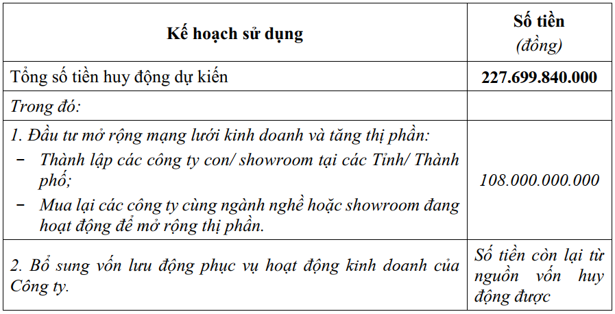 City Auto sắp tăng vốn lên gấp rưỡi để thực hiện M&A dù lãi 9 tháng chỉ hơn 2 tỉ - Ảnh 2.