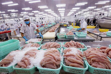 Thêm cơ hội phục hồi cho ngành thủy sản Việt Nam nhờ hiệp định UKVFTA