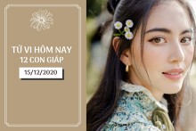 Tử vi hàng ngày hôm nay 15/12 của 12 con giáp: Dần có tin vui tài vận, Mão sức khỏe cải thiện đáng kể