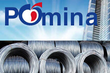Pomina muốn chuyển 450 tỷ đồng từ quỹ đầu tư phát triển thành khoản lợi nhuận sau thuế