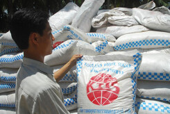 Sớm áp dụng biện pháp phòng vệ thương mại với đường nhập khẩu Thái Lan