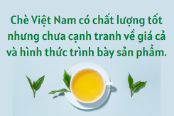 Tiềm năng xuất khẩu mặt hàng chè tại thị trường Maroc