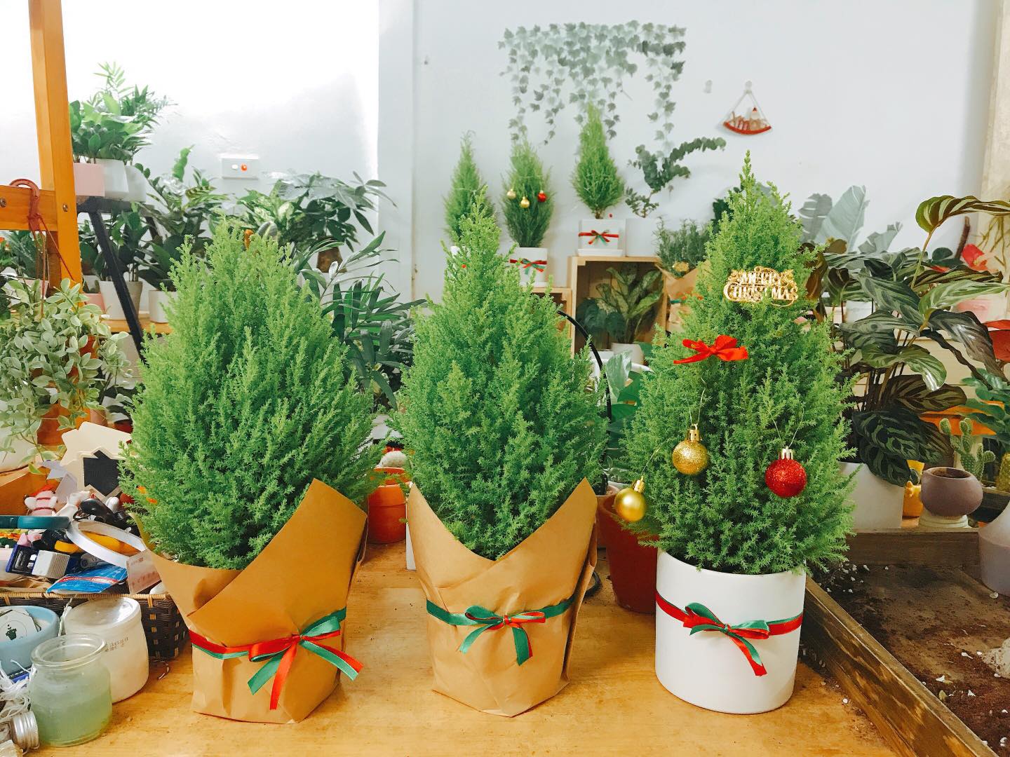Thỏa sức sáng tạo với những cách tự trang trí ngày Giáng sinh độc đáo mà ấn tượng - Ảnh 5. Thỏa sức sáng tạo với những cách tự trang trí ngày Giáng sinh độc đáo mà ấn tượng - Ảnh 5.