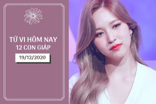 Tử vi hàng ngày hôm nay 19/12 của 12 con giáp: Tuất đạt được mục tiêu đề ra, Hợi có tin vui tài lộc