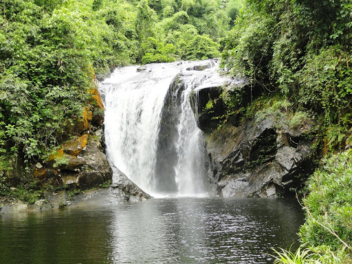 Thanh Hóa duyệt đồ án du lịch sinh thái, nghỉ dưỡng khu bảo tồn Xuân Liên - Ảnh 1. Thanh Hóa duyệt đồ án du lịch sinh thái, nghỉ dưỡng khu bảo tồn Xuân Liên - Ảnh 1.