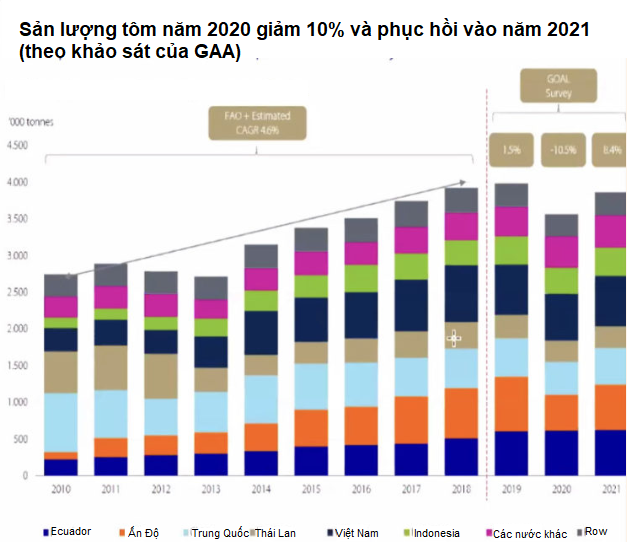 Rabobank: Sản lượng tôm nuôi năm 2020 có thể giảm ít hơn dự kiến - Ảnh 1.