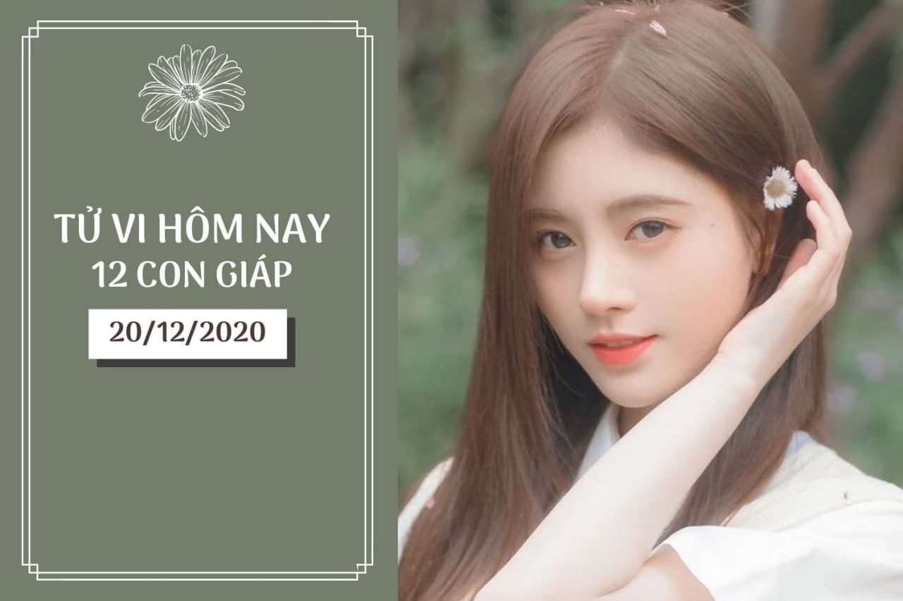 Tử vi hàng ngày hôm nay 20/12 của 12 con giáp: Tý nên chú ý vấn đề sức khỏe, Sửu cần cố gắng nhiều hơn  - Ảnh 1.