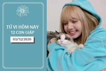 Tử vi hàng ngày hôm nay 3/12 của 12 con giáp: Ngọ tài chính ổn định, Mùi nên cải thiện chế độ ăn uống