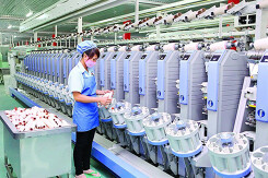 TCM chốt danh sách chia cổ tức 5% bằng tiền mặt