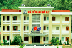 Vinaconex tính chuyển nhượng hơn 17 triệu cổ phiếu của Đầu tư và Phát triển Điện miền Bắc 2