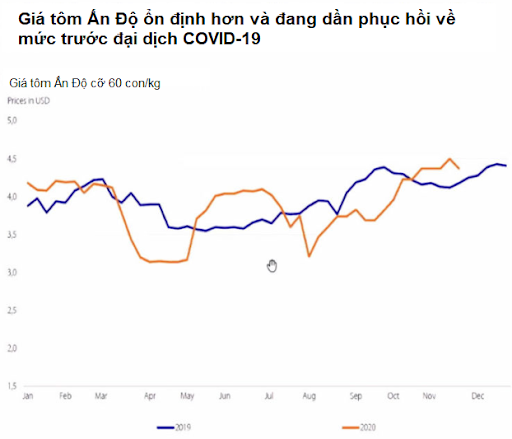 Các nước xuất khẩu tôm xoay xở thế nào trong đại dịch COVID-19? - Ảnh 3.