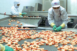Bộ NN&PTNT đặt mục tiêu xuất khẩu thủy sản đạt 9 tỷ USD trong năm 2021