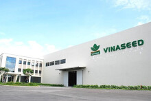 Vinaseed sắp chia cổ tức bằng tiền mặt với tỷ lệ 25%