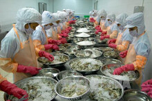 Dự kiến xuất khẩu tôm tăng hơn 12% trong năm nay