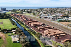 Trung Quốc tiếp tục hạn chế nhập khẩu gỗ từ Australia