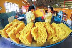 Bộ Công Thương: Trung Quốc chi gần 1,3 tỷ USD nhập khẩu cao su Việt Nam