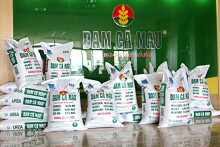 PVCB Capital muốn thoái 2 triệu cổ phiếu DCM của Đạm Cà Mau khi giá lập đỉnh