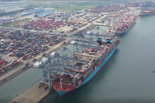 Hãng tàu container phải minh bạch giá cước vận chuyển đường biển