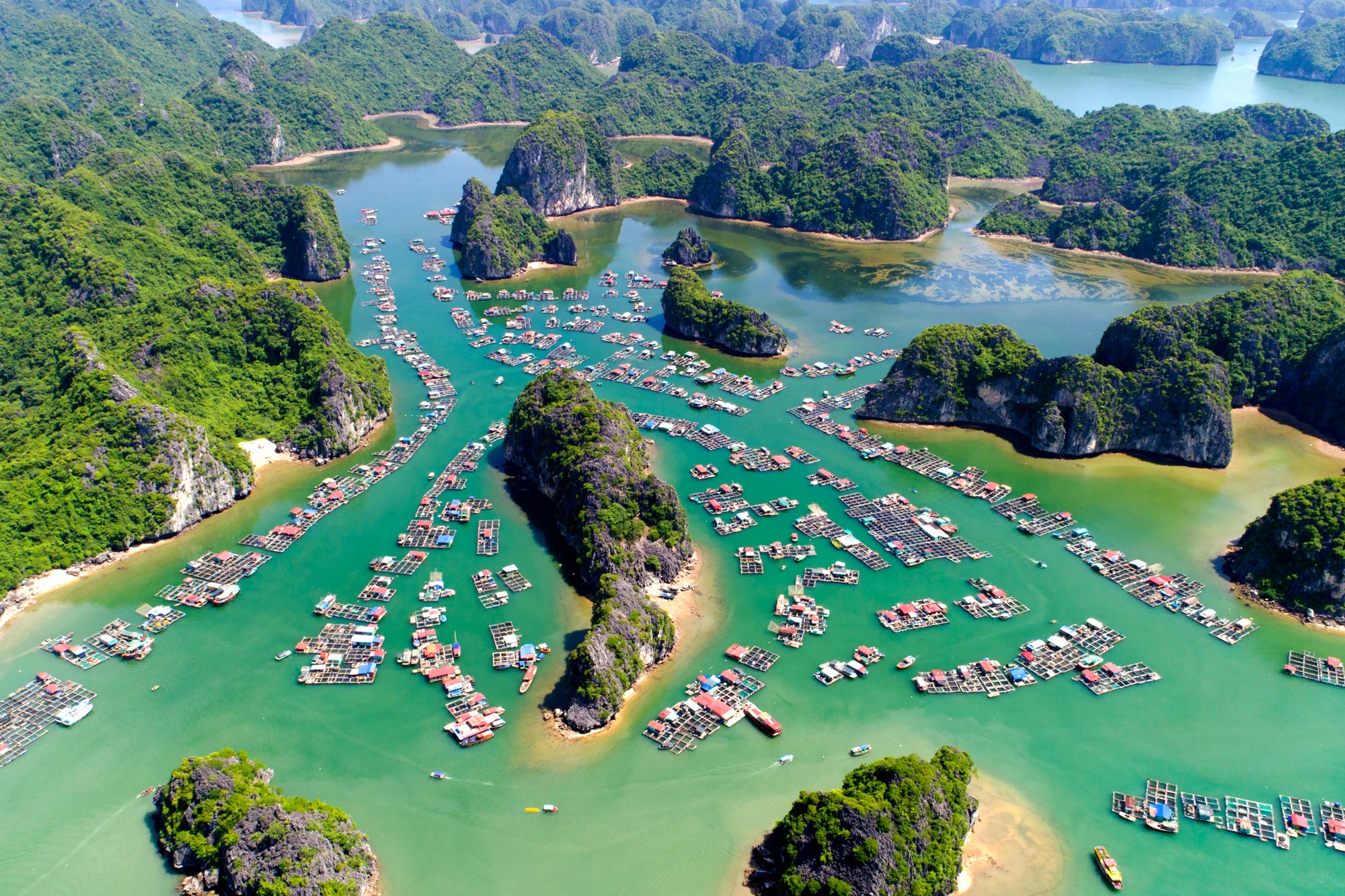 Tour du lịch Tết Dương lịch 2021: Khám phá loạt điểm đến thú vị tại ba miền với giá chỉ từ 1,9 triệu đồng - Ảnh 2.