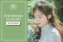 Tử vi hàng ngày hôm nay 29/12 của 12 con giáp: Ngọ mặn nồng chuyện tình cảm, Mùi công việc thuận lợi