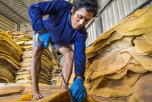 Ấn Độ giảm nhập khẩu cao su từ các thị trường chính