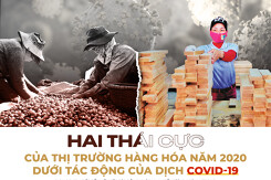 Hai thái cực của thị trường hàng hóa năm nay dưới tác động của đại dịch Covid-19