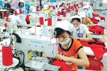 Tổng trị giá xuất khẩu dệt may năm nay sẽ đạt khoảng 33,5-34 tỉ USD