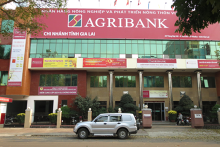Agribank huy động 5.000 tỉ đồng trái phiếu