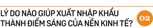 Vì sao Việt Nam vẫn xuất siêu kỷ lục bất chấp dịch COVID-19? - Ảnh 5.