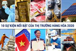Bức tranh toàn cảnh thị trường hàng hóa năm 2020