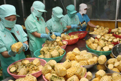 Các trường hợp vi phạm quy định VSATTP của Việt Nam sang Hàn Quốc giảm hơn 3 lần