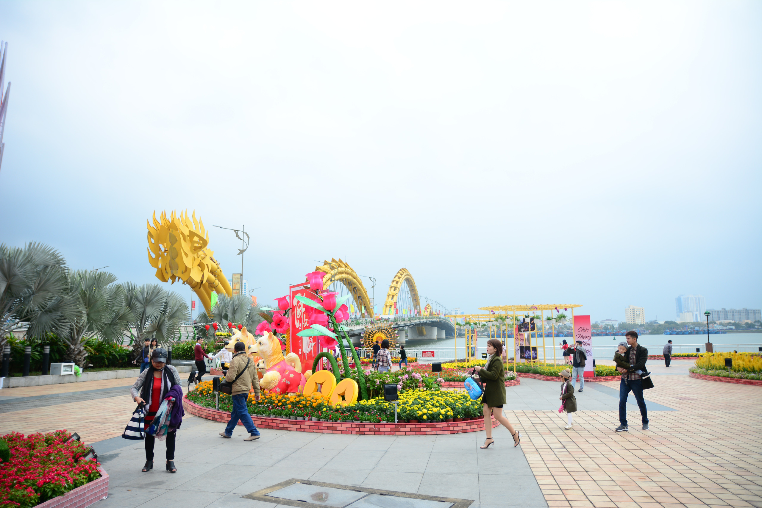 Đà Nẵng chi 10 tỷ đồng trang trí hoa Tết Nguyên đán 2021 - Ảnh 1. Đà Nẵng chi 10 tỷ đồng trang trí hoa Tết Nguyên đán 2021 - Ảnh 1.