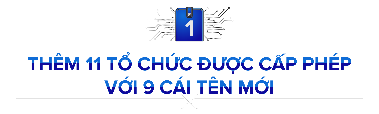 Ví điện tử Việt 2020: 9 cái tên mới, siết tính ẩn danh và thị trường tiếp tục phân mảnh - Ảnh 1. Ví điện tử Việt 2020: 9 cái tên mới, siết tính ẩn danh và thị trường tiếp tục phân mảnh - Ảnh 1.