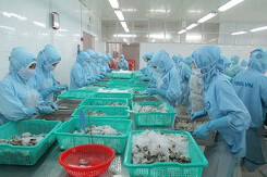 Sao Ta thu về 180 triệu USD sau 11 tháng
