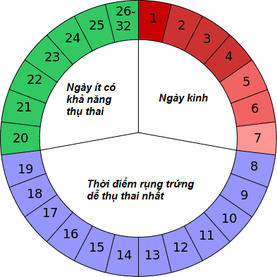 5 cách tính ngày rụng trứng chuẩn xác cho chị em phụ nữ - Ảnh 2. 5 cách tính ngày rụng trứng chuẩn xác cho chị em phụ nữ - Ảnh 2.