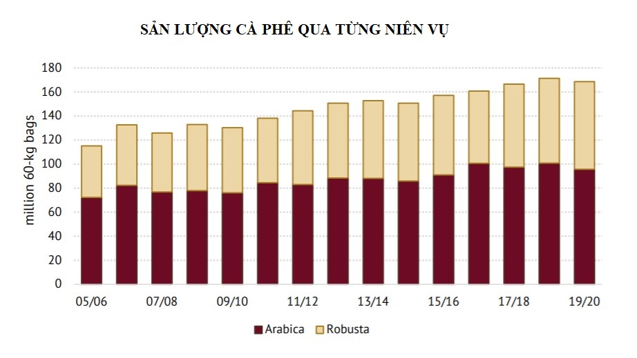 ICO: Sản lượng cà phê toàn cầu niên vụ 2019 - 2020 giảm 1,6% so với niên vụ trước - Ảnh 2. ICO: Sản lượng cà phê toàn cầu niên vụ 2019 - 2020 giảm 1,6% so với niên vụ trước - Ảnh 2.