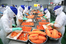 8 mặt hàng nông, lâm, thủy sản xuất khẩu của Việt Nam đạt kim ngạch trên 1 tỉ USD trong 11 tháng