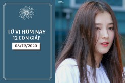Tử vi hàng ngày hôm nay 8/12 của 12 con giáp: Tuất tình duyên khởi sắc, Hợi vững vàng công danh