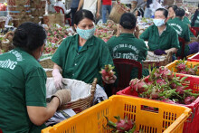 Giá nông sản xuất khẩu tăng nhờ nhu cầu toàn cầu phục hồi