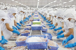 Doanh nghiệp thủy sản cần làm gì khi Trung Quốc siết chặt kiểm dịch hàng đông lạnh do Covid-19?